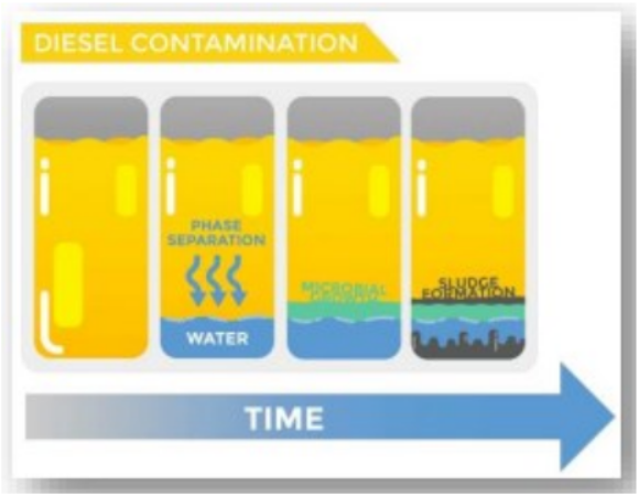 contamination contamination